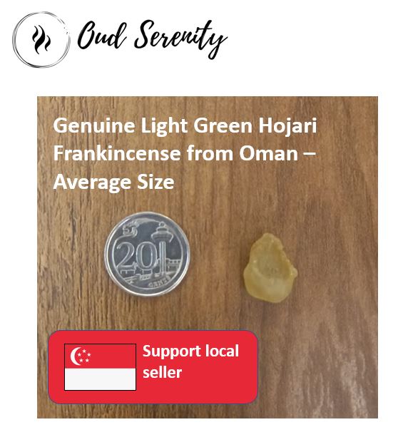 Hojari Light Green Frankincense Boswellia Sacra Al-Luban Olibanum Ru Xiang Kemenyan Arab from Dhofar, Oman