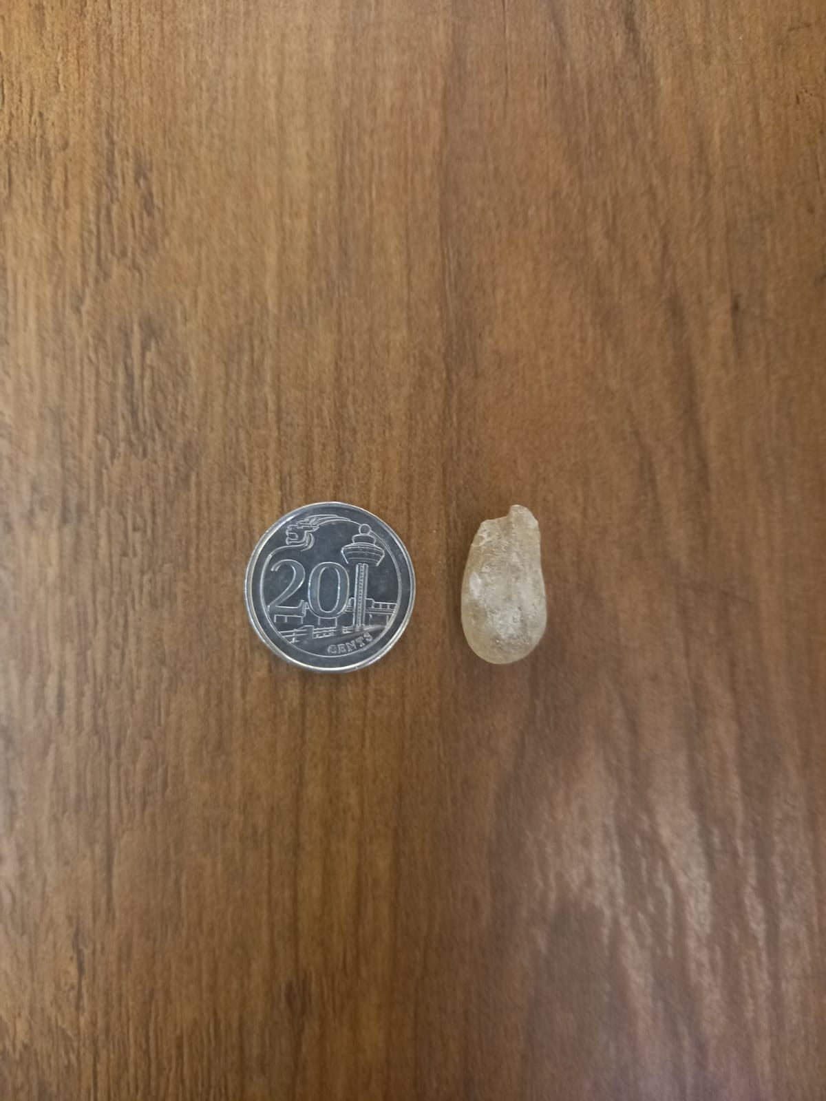 Hojari White Frankincense Boswellia Sacra Al- Luban Olibanum Ru Xiang Kemenyan Arab from Dhofar, Oman