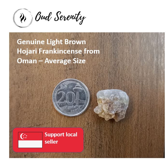 Fragrance Hojari Light Brown to Brown Frankincense Boswellia Sacra Al- Luban Olibanum Ru Xiang Kemenyan Arab from Dhofar, Oman