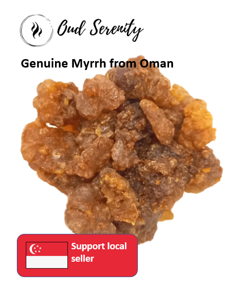 Myrrh Incense Commiphora Mo Yao Guggul Murr from Oman