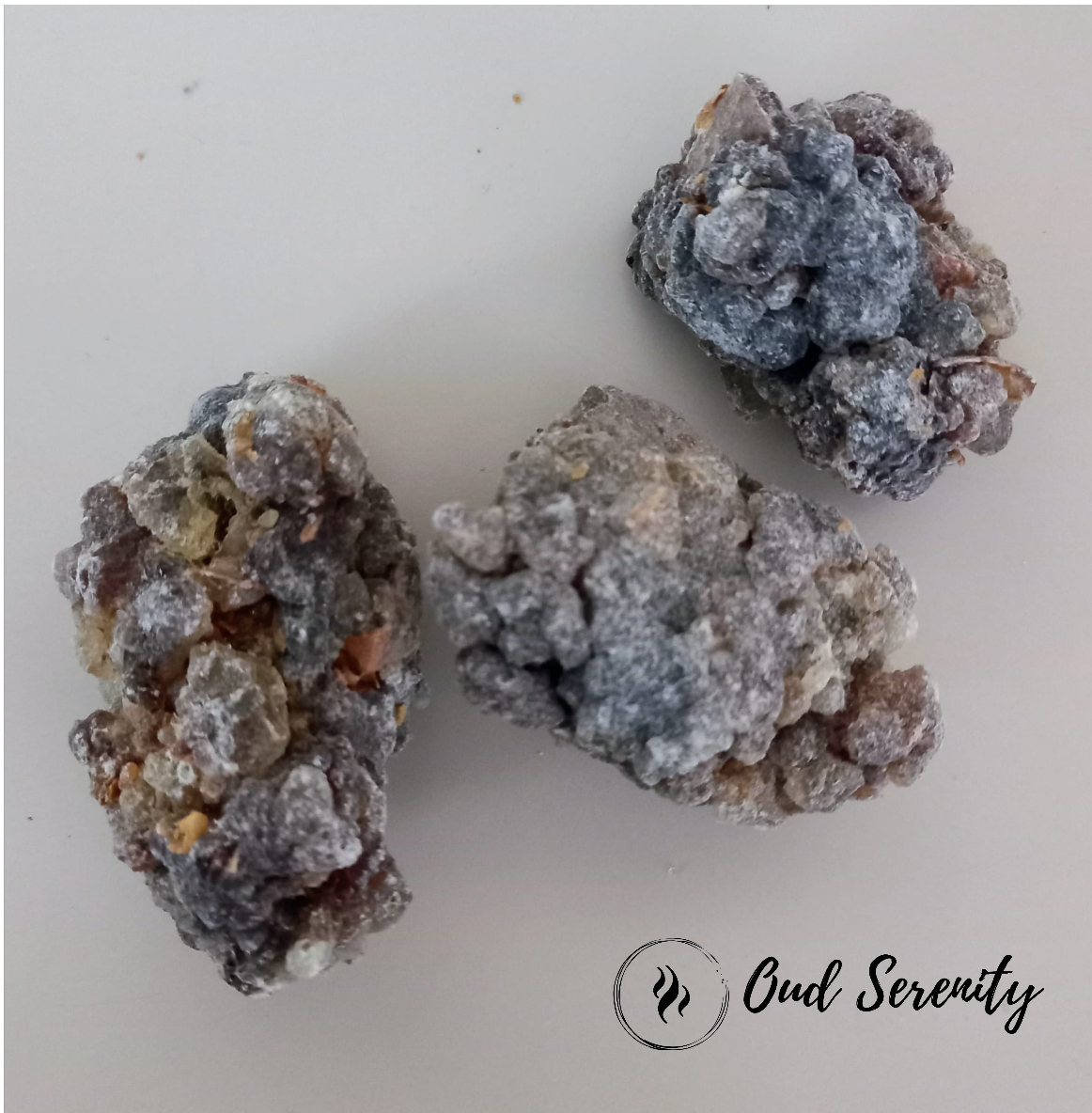 Hojari Black Frankincense Boswellia Sacra Al- Luban Olibanum Ru Xiang Kemenyan Arab from Dhofar, Oman