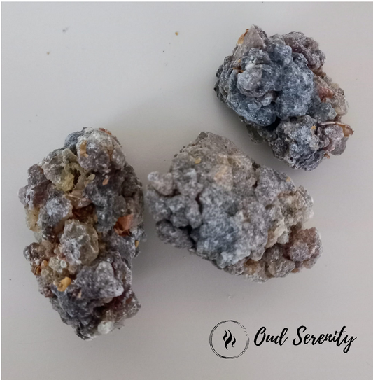 Hojari Black Frankincense Boswellia Sacra Al- Luban Olibanum Ru Xiang Kemenyan Arab from Dhofar, Oman