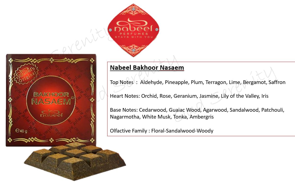 Nabeel Powdered Oud Bukhoor Bakhoor Incense Original from UAE