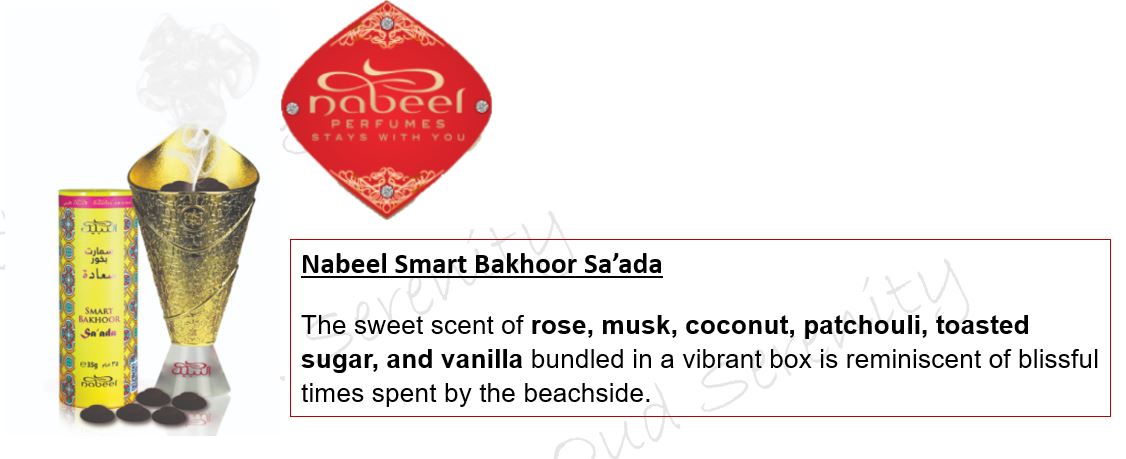 Nabeel Smart Bukhoor Bakhoor Incense Pods Original from UAE 35g