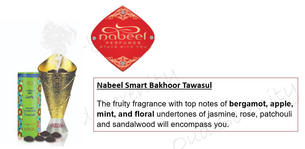 Nabeel Smart Bukhoor Bakhoor Incense Pods Original from UAE 35g