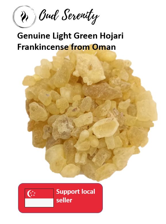 Hojari White Frankincense Boswellia Sacra Al- Luban Olibanum Ru Xiang Kemenyan Arab from Dhofar, Oman